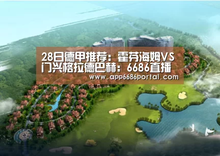 28日德甲推荐:霍芬海姆VS门兴格拉德巴赫:6686直播(图3) 6686游戏
