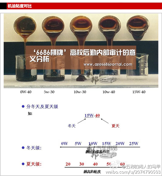 ‘6686棋牌’高校后勤内部审计的意义分析(图2) 6686棋牌