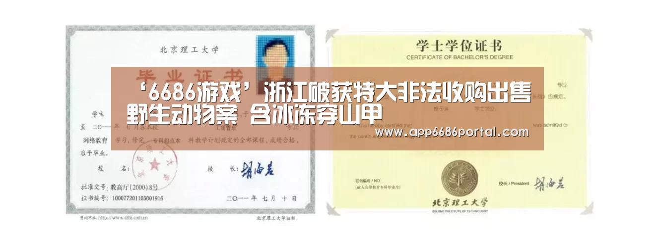 ‘6686游戏’浙江破获特大非法收购出售野生动物案 含冰冻穿山甲(图1) 6686游戏