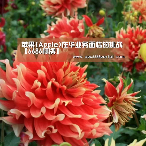 苹果(Apple)在华业务面临的挑战【6686棋牌】(图3) 6686直播