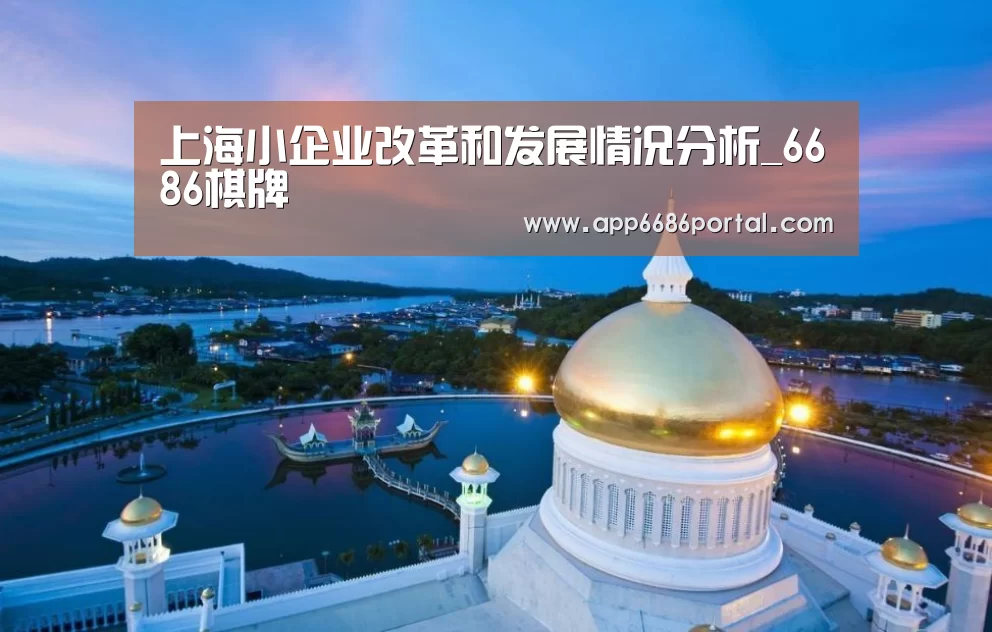 上海小企业改革和发展情况分析_6686棋牌(图4) 6686游戏