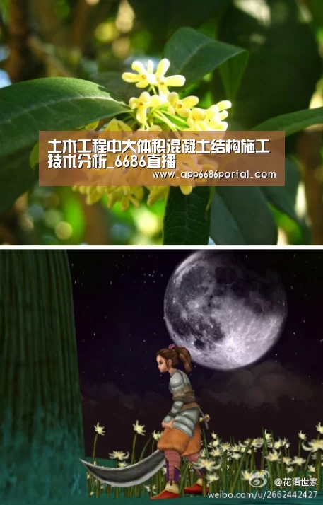 6686直播
