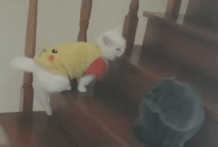 6686游戏